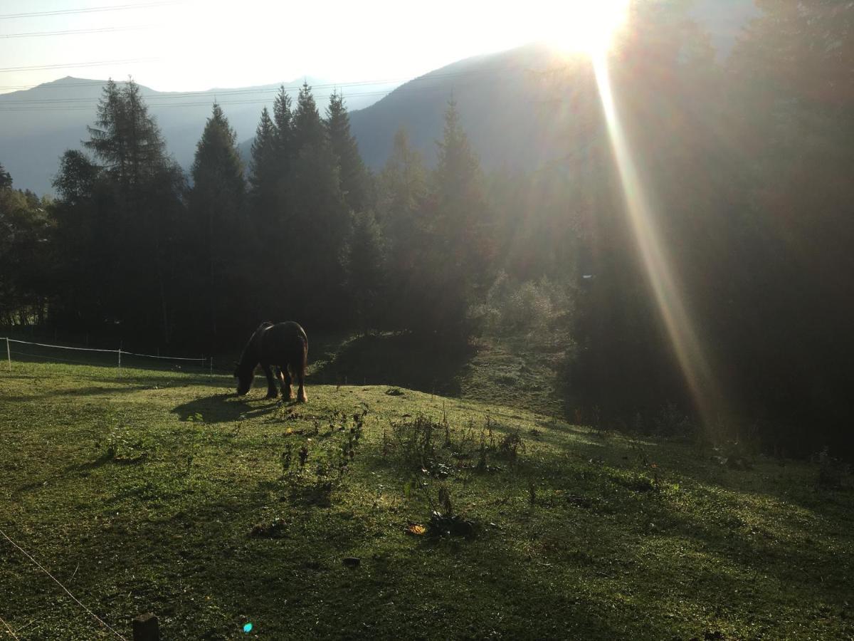 Green Mountain Retreat Флийс Екстериор снимка
