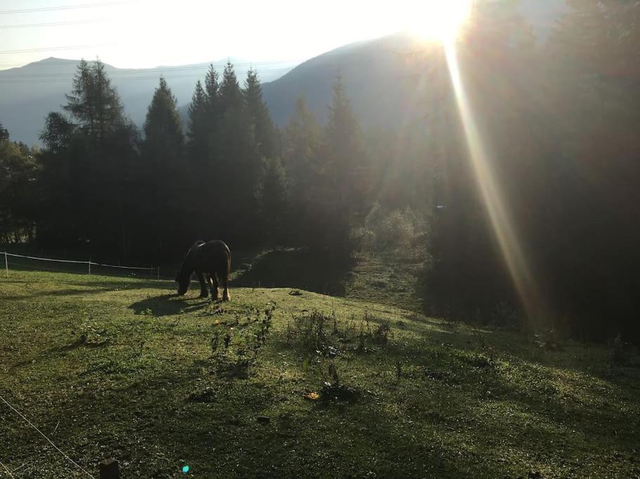 Green Mountain Retreat Флийс Екстериор снимка
